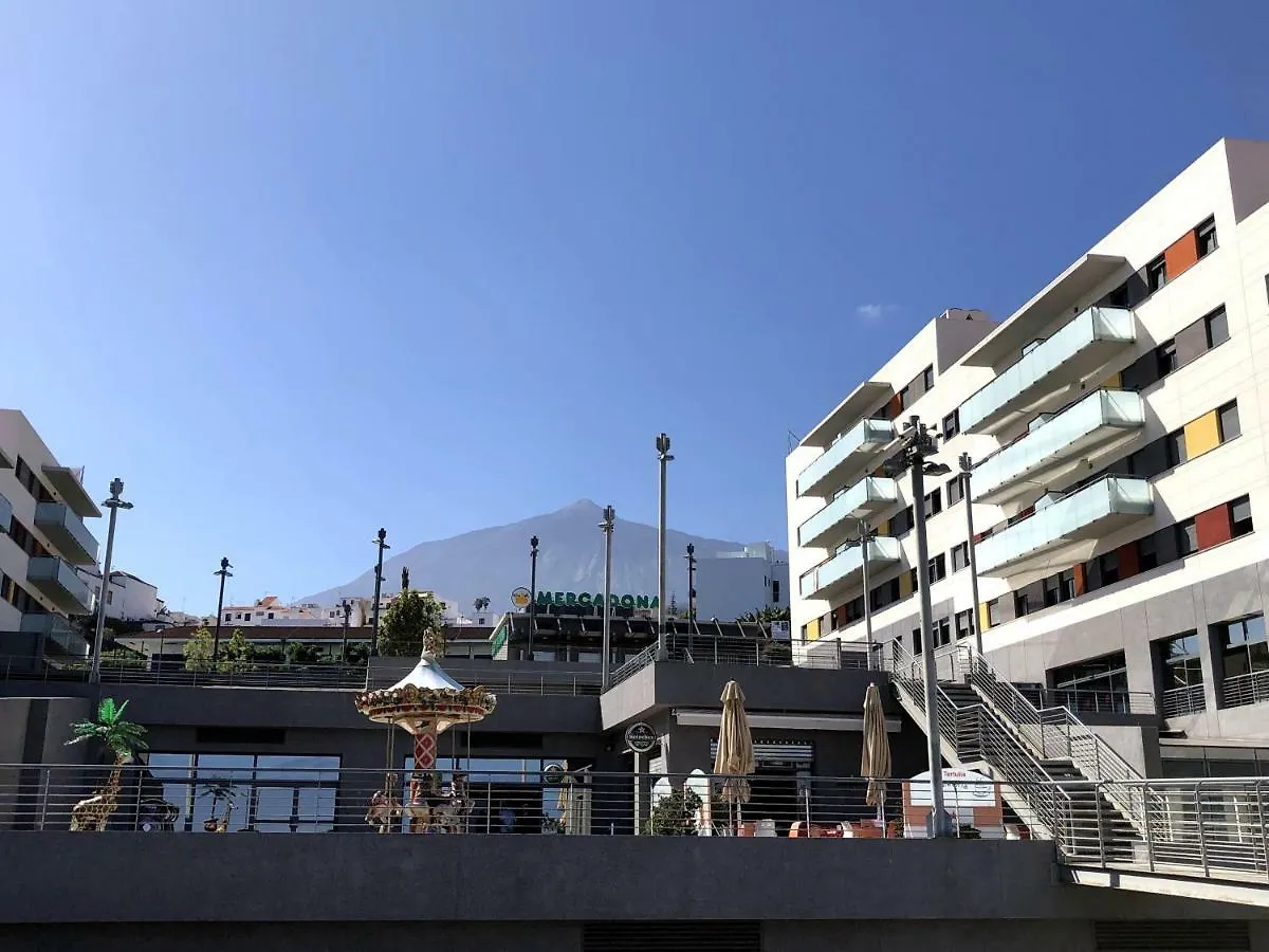 公寓 Wonderful Penthouse In The Center Of 伊科德·德·洛斯·维诺斯 西班牙